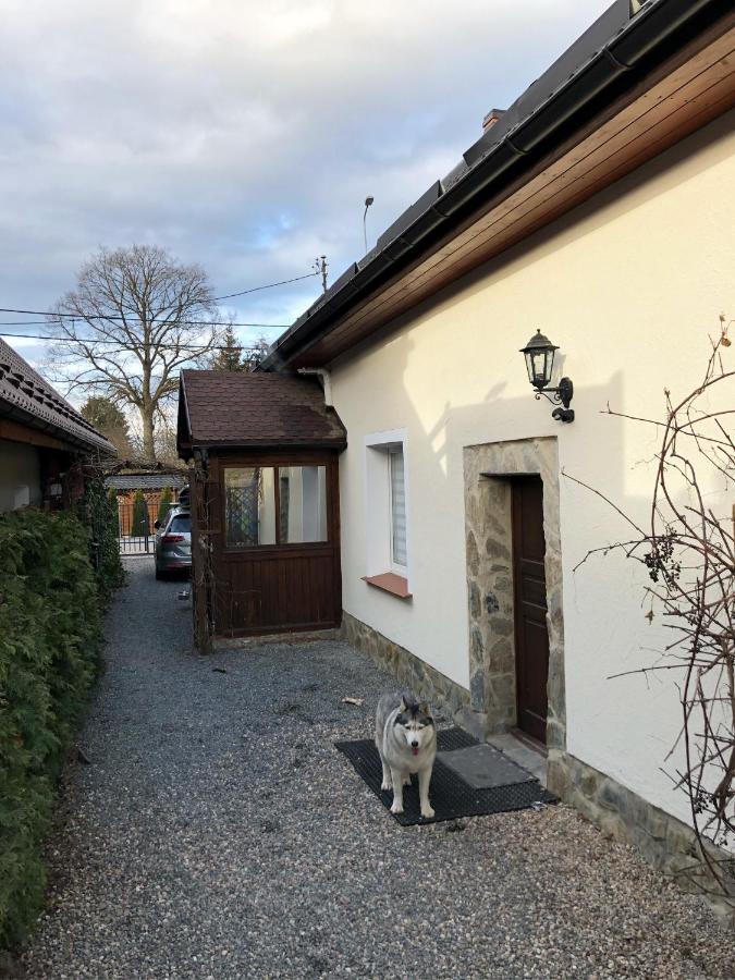 Dom Tkacki - Apartamenty - Pokoje - Jacuzzi Kudowa-Zdrój Exteriér fotografie